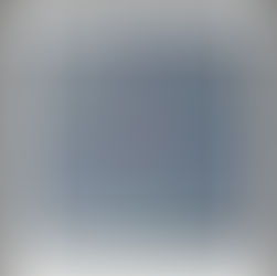 エルメススカーフ Della Cavalleria Favolosa