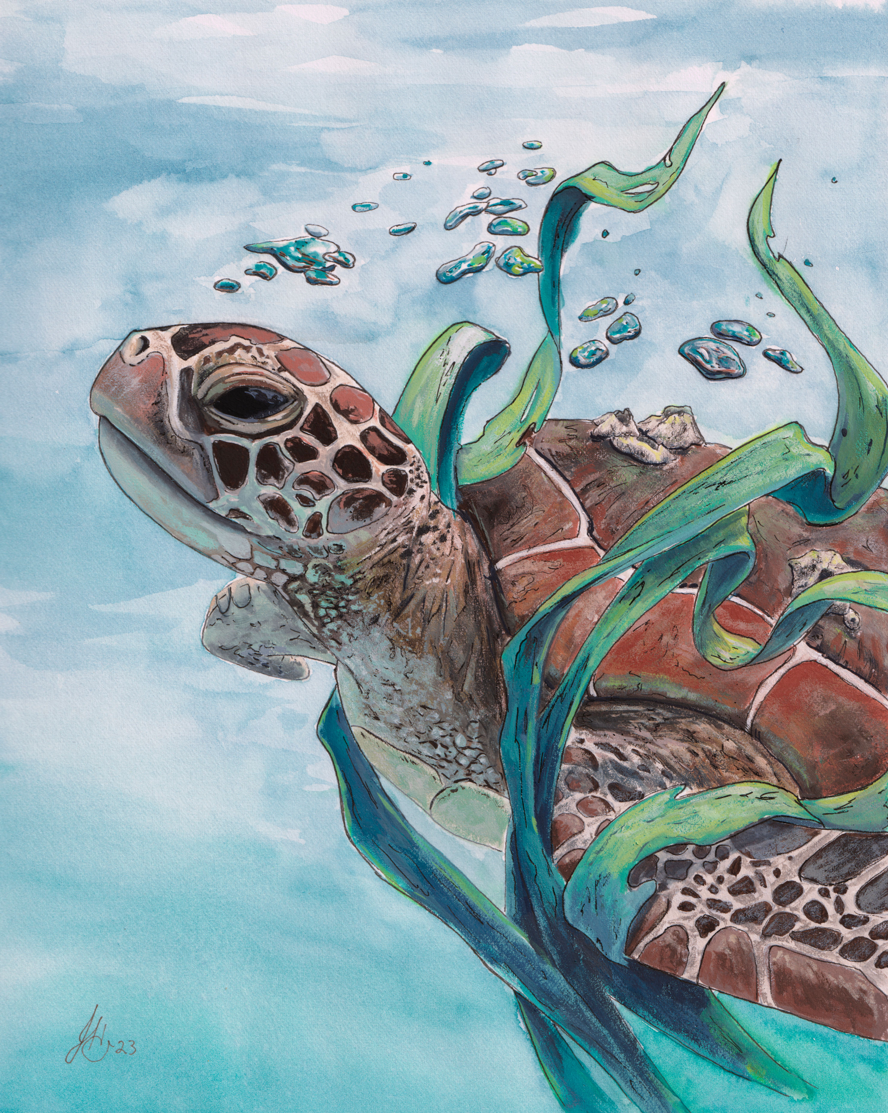 Through the Seagrass