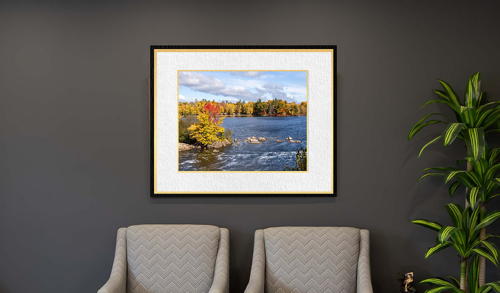 Close-up view of a nature print featuring a forest scene on a white wall