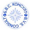 LOGO BVS.png