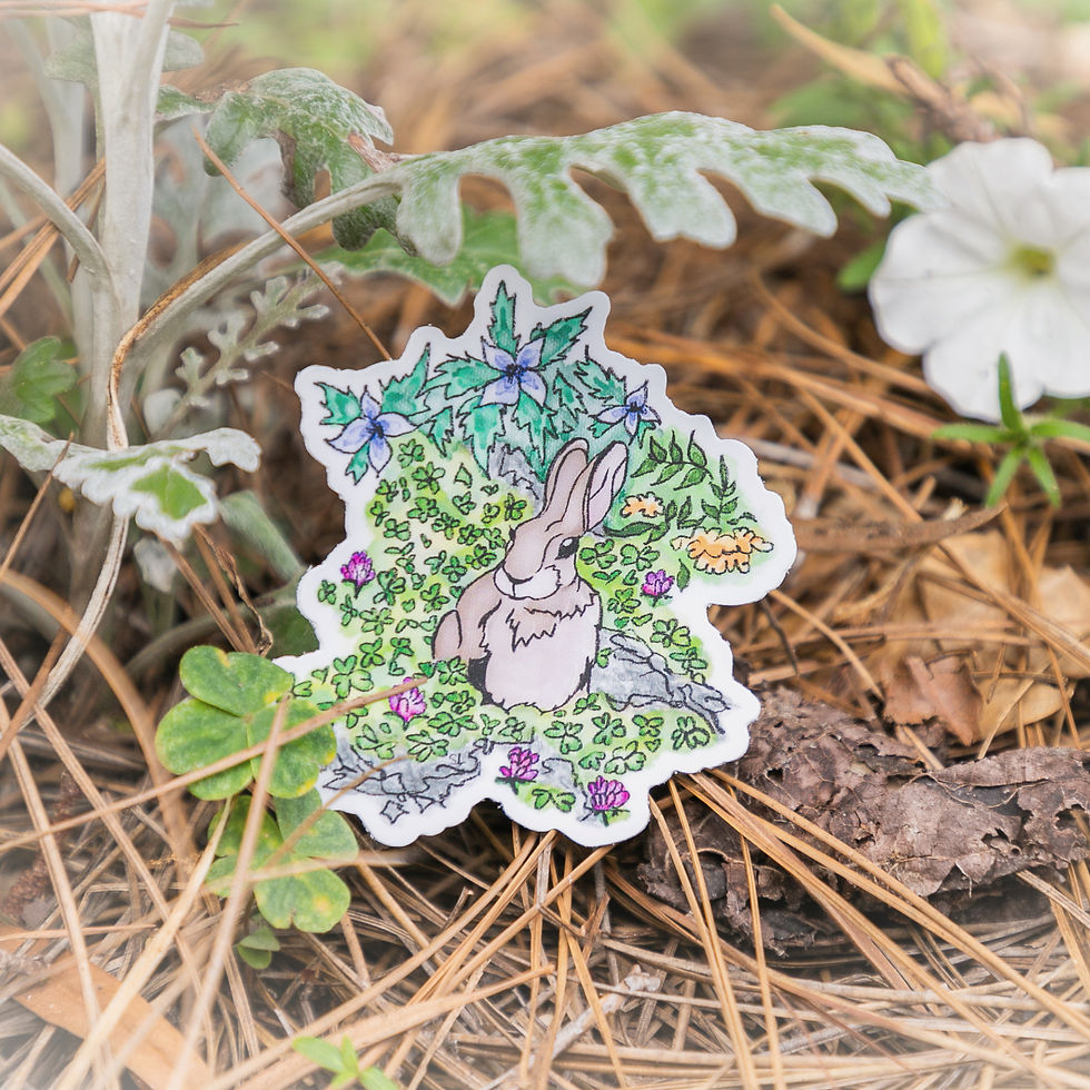 Rabbit in the Clover Sticker
