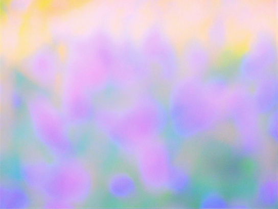 sunrise over field of flowers out of focus purple tone.jpg