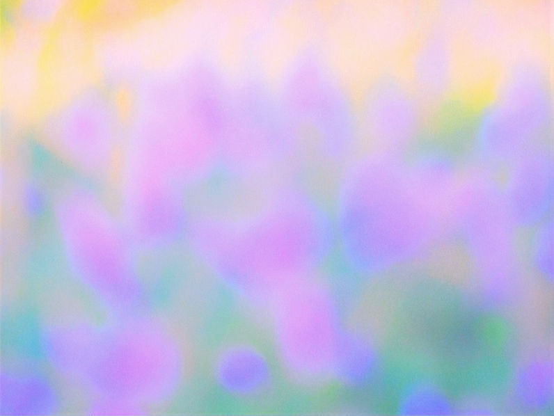 sunrise over field of flowers out of focus purple tone.jpg
