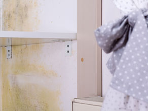 Easy step-by-step guide to getting rid of molds on your clothes.
