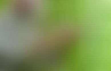 Cómo mejorar la seguridad de los trasteros