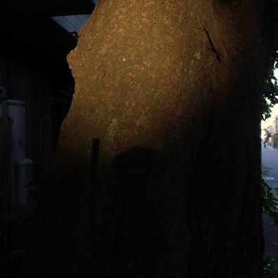 往復写簡 #46