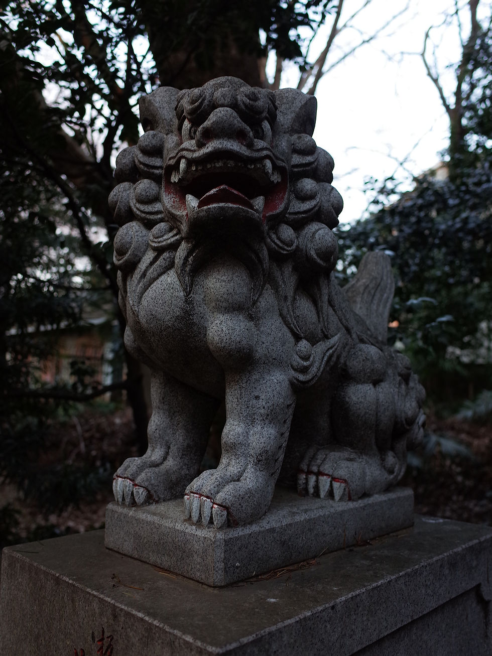 氷川神社（東京都板橋区双葉町）阿 R