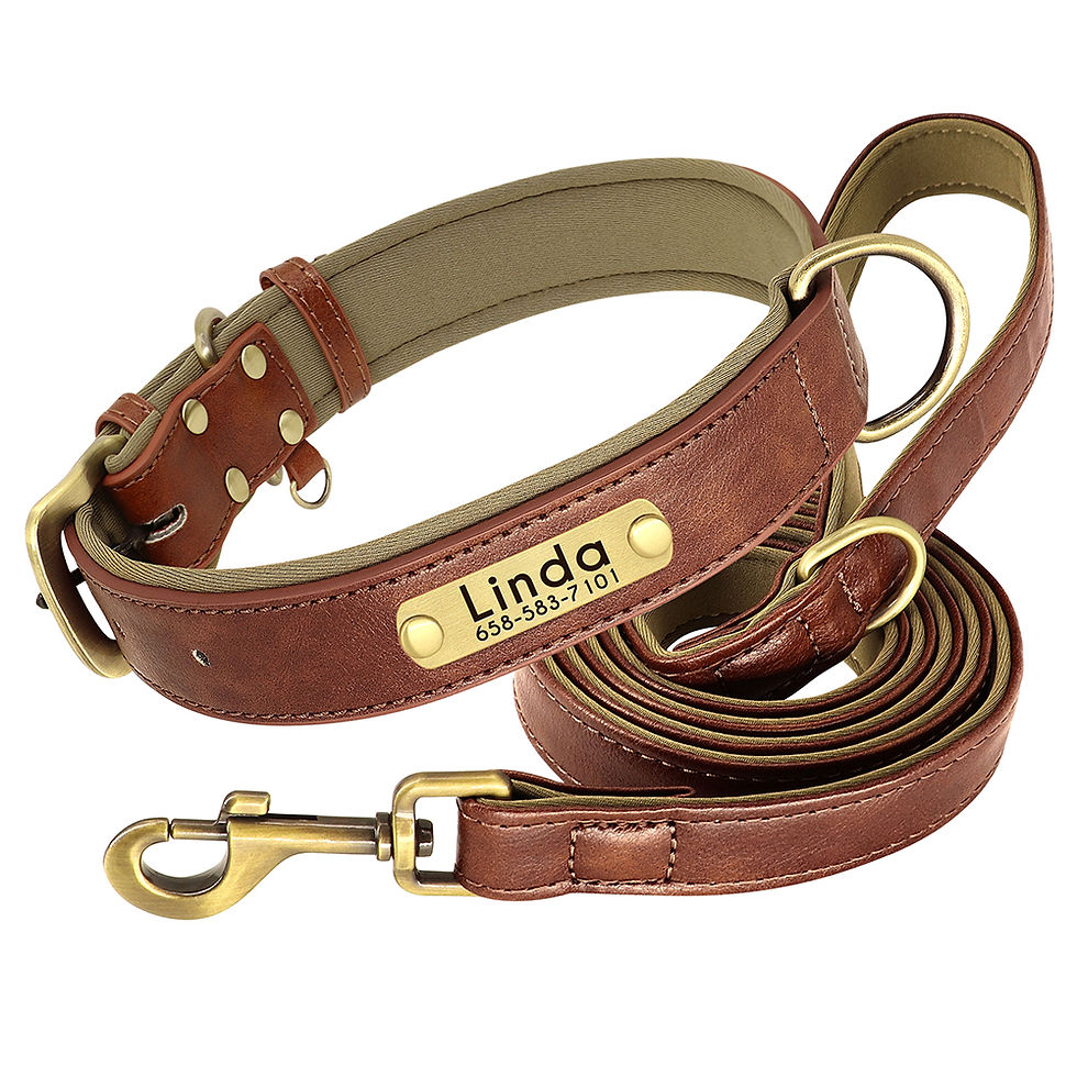 Thumbnail: Customized Leather Dog Collar Leash Set Soft Padded Leather Collar For Small Med