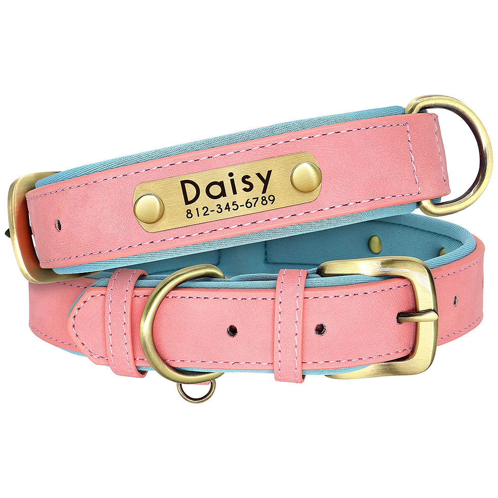 Thumbnail: Customized Leather Dog Collar Leash Set Soft Padded Leather Collar For Small Med