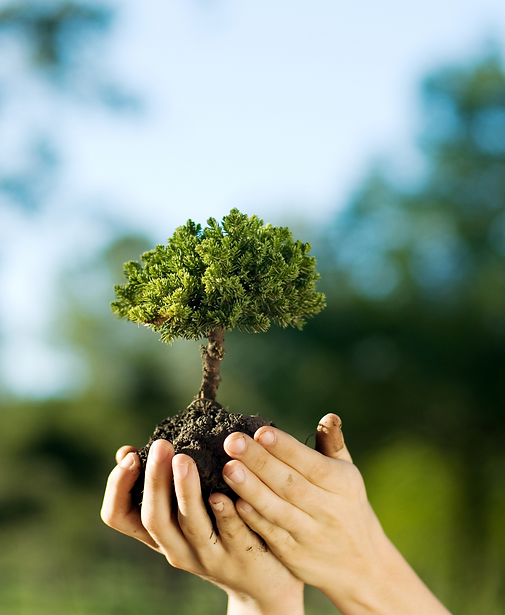 Design sem nome (52).png