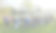 website_edited.jpg