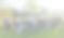 website_edited.jpg