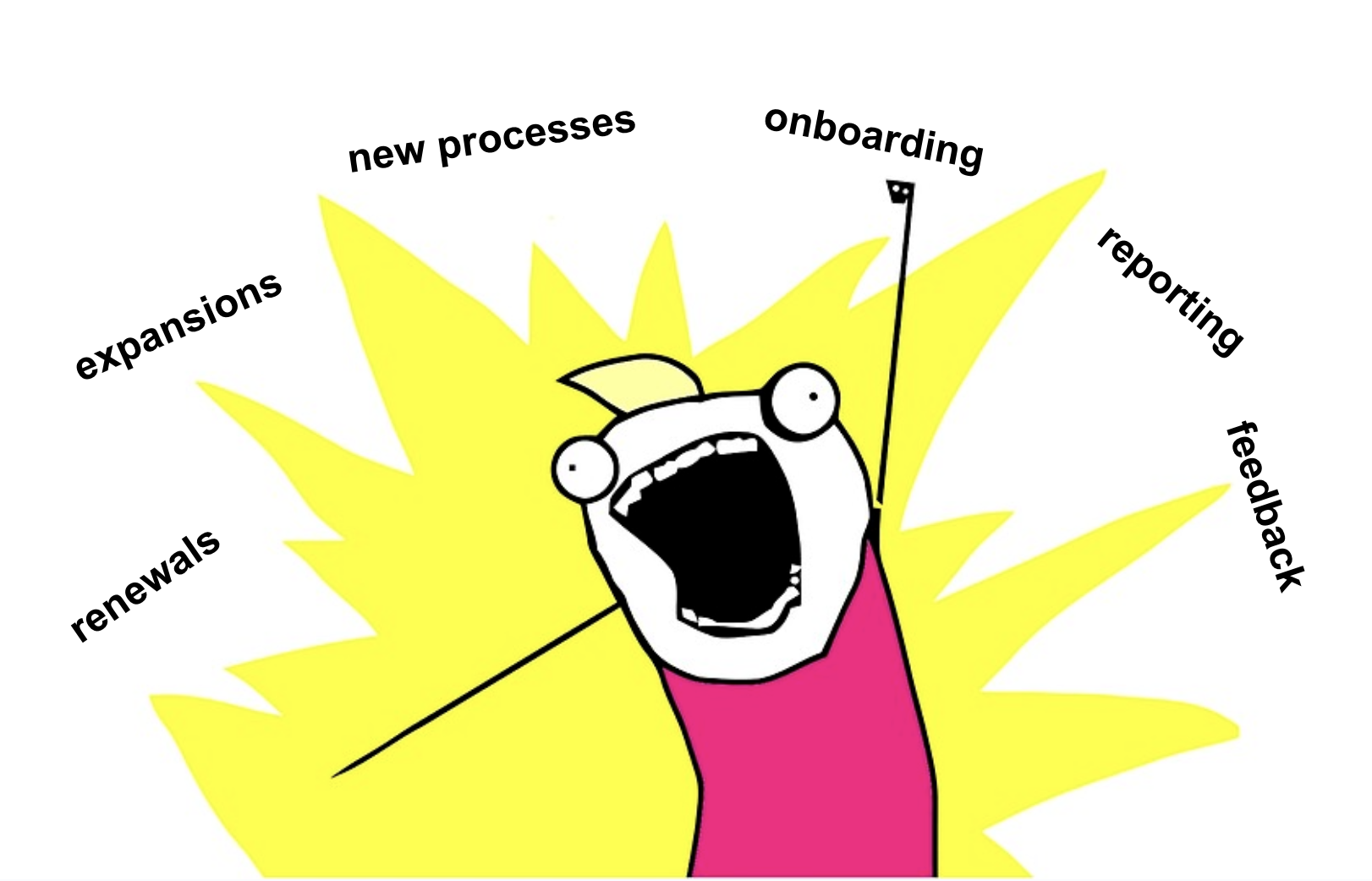 Your founding CSM doing all the things: renewals, expansions, onboarding, reporting, process building, feedback loops.