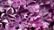 Kartka z kalendarza - maj 2020