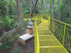 Parque Nacional Cerro Corá