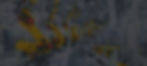 shutterstock-368354981-banner2400_edited_edited.jpg