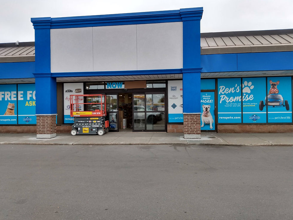 Sign Install - Storefront Windows