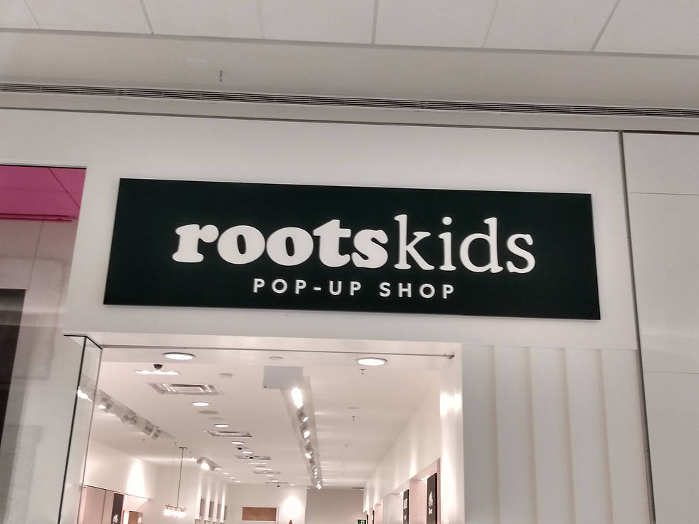 Corporate Signs - Mall Sign - Sign Install