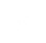 Motorreinigung