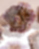 carpe-crystals.jpg