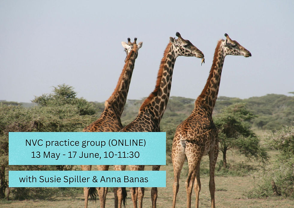 NVC practice group (ONLINE)