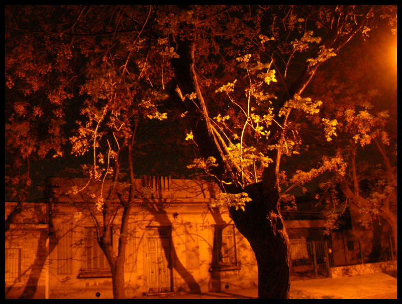 los colores de la noche content media