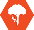 Morabito Lawn and Tree Care icon