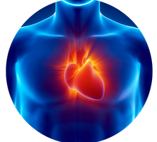 E. Cardiometabólicas