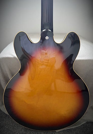 ES335 back_edited.jpg