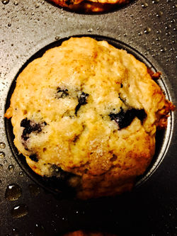 Blueberry Muffin