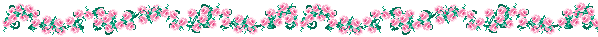 barra_53rosinhas.gif