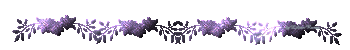 barra19.gif