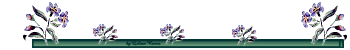 barra42.gif