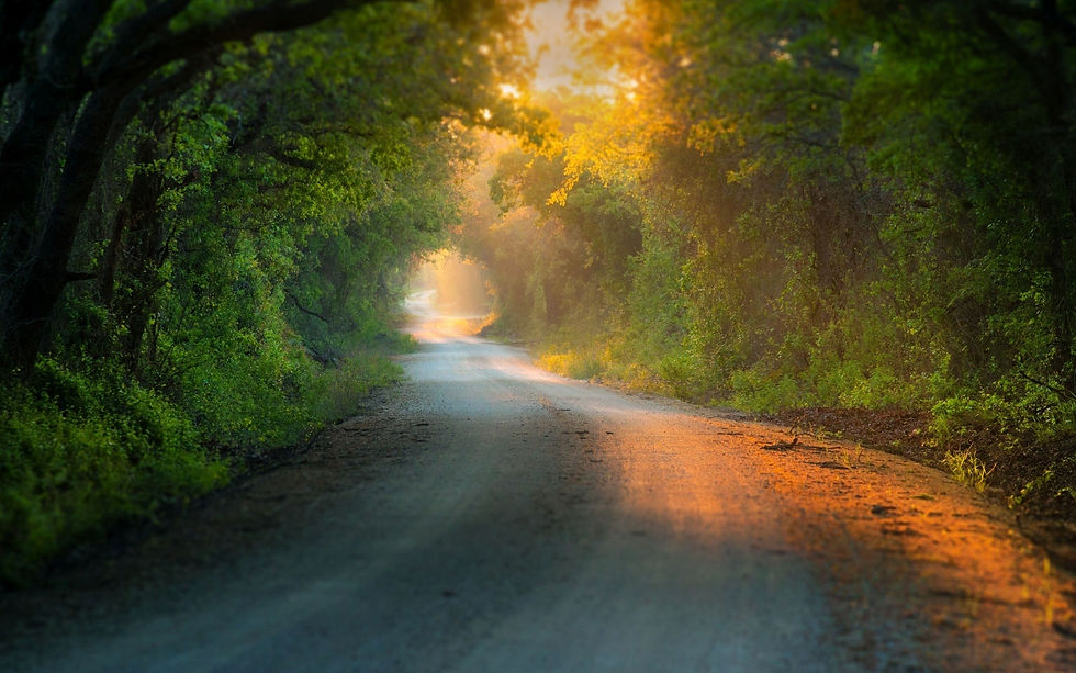 Man Made_road_435211 (1).jpg