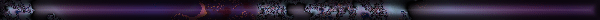 bar5.gif