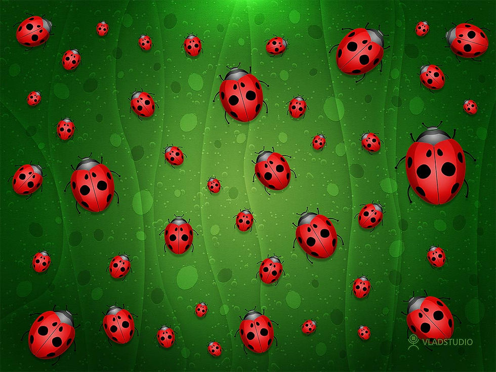 vladstudio_allisfullofladybugs_1152x864.jpg