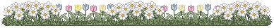 barra_margaridasetulipas.gif