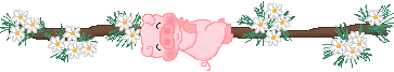 barra044.gif