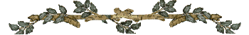 barra38.gif