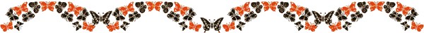 animl08.gif