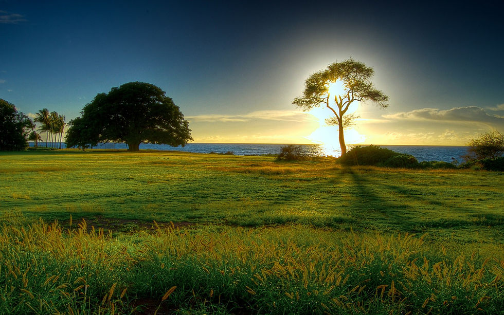 1244789610_amazing-nature-wallpapers-14.jpg