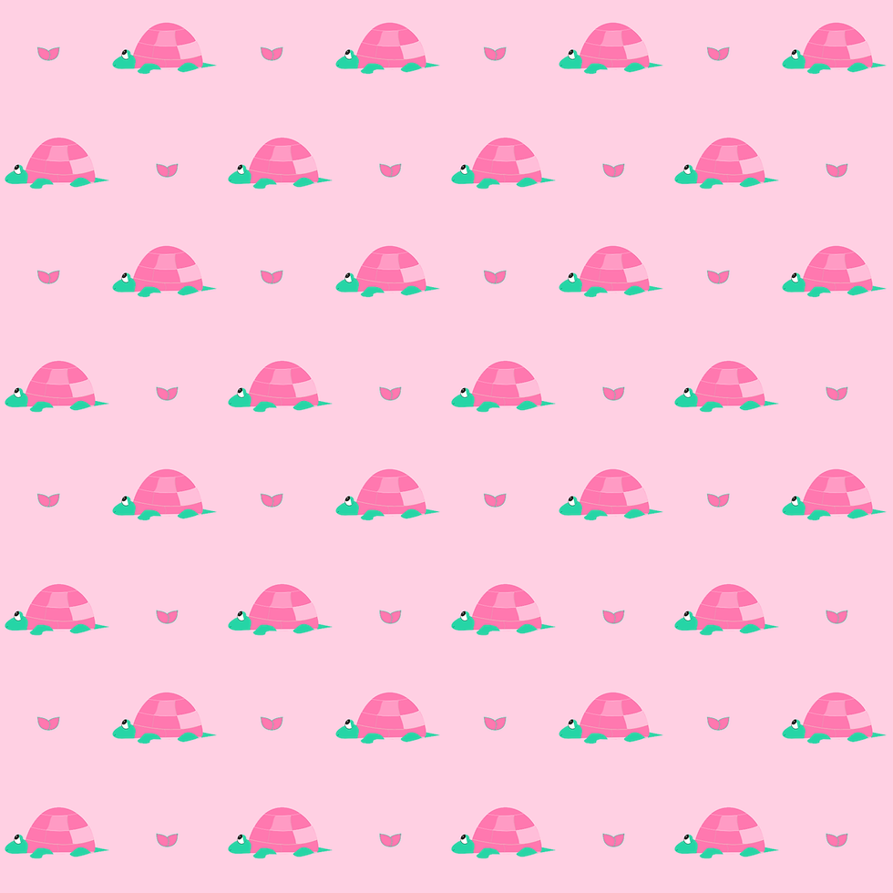 turtlePaper24.png