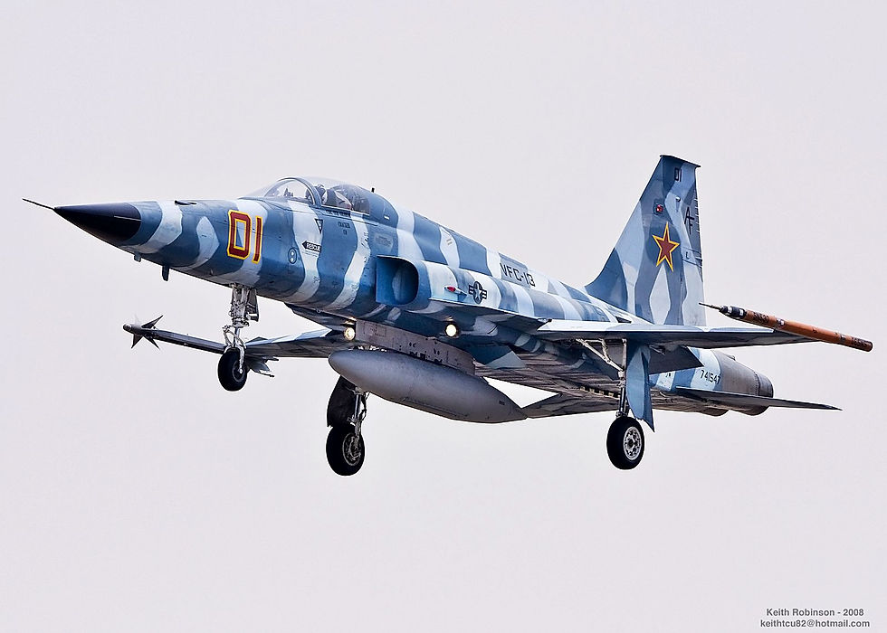 f-5n-1.jpg