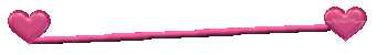 barra31.gif