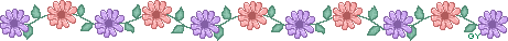 barra_04florverm.gif