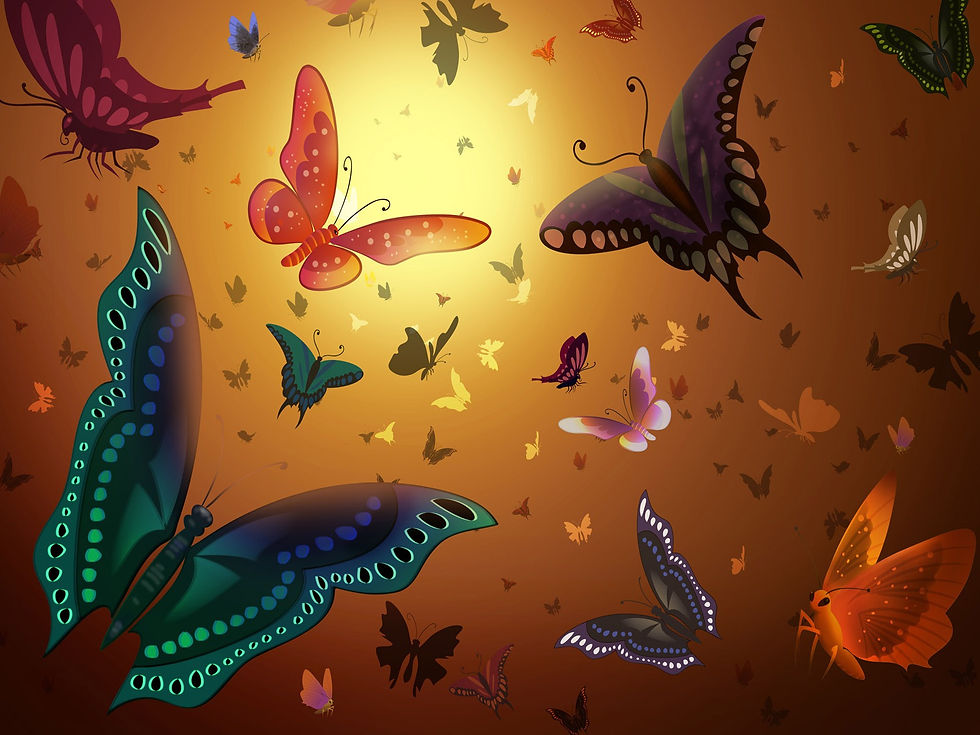 The-best-top-desktop-butterflies-wallpaper-hd-butterfly-wallpaper-14.jpg