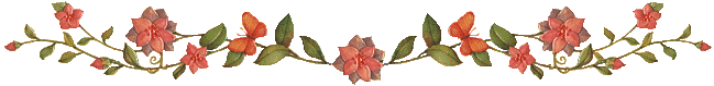 ang02bar.gif