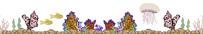 barra065.gif