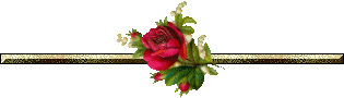 626.gif