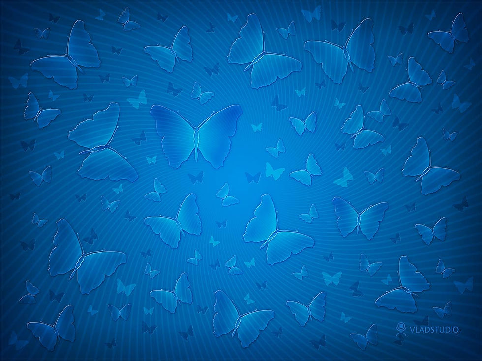 vladstudio_allisfullofbutterflies_1152x864.jpg